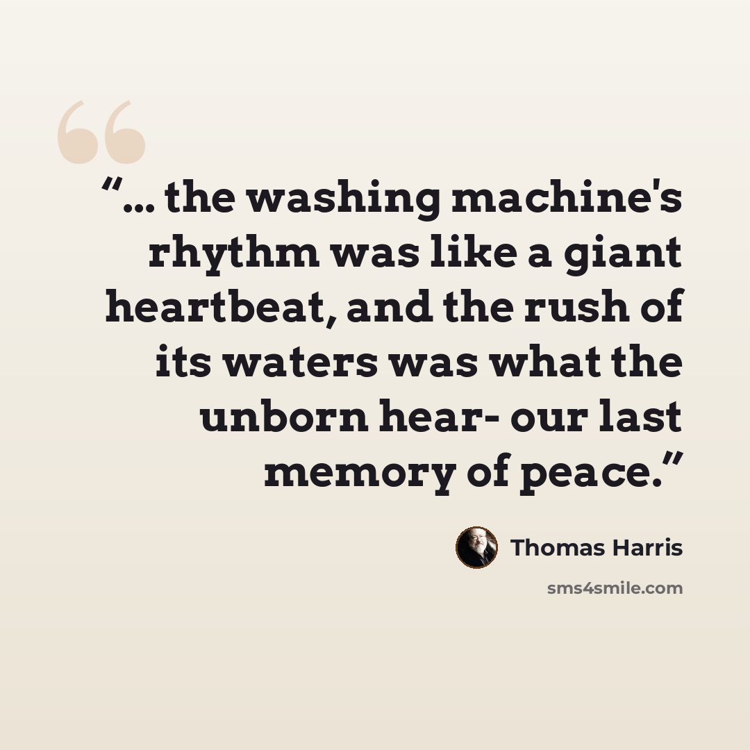“... the washing machine's rhythm was like a giant heartbeat, and the rush of its waters was what the unborn hear- our last memory of peace.” quote by Thomas Harris