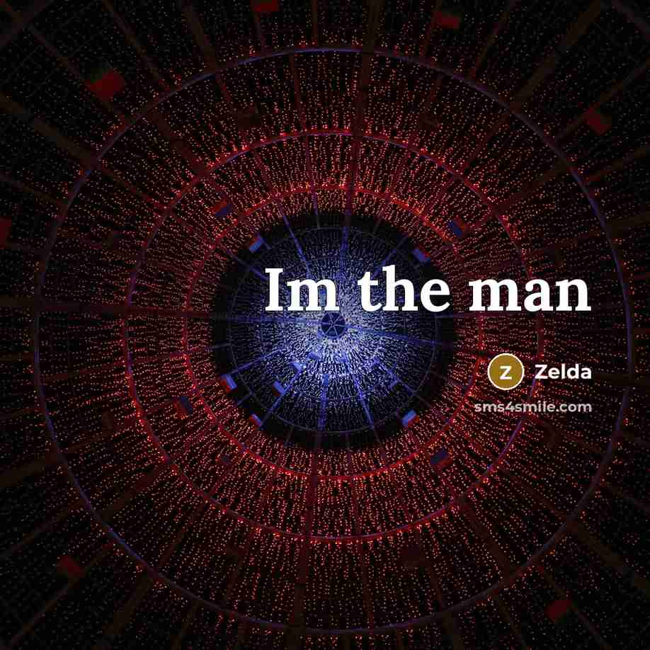 “Im the man” quote by Zelda