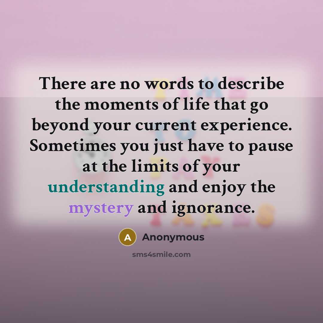 “There are no words to describe the moments of life that go beyond your current experience. Sometimes you just have to pause at the limits of your understanding and enjoy the mystery and ignorance.” quote by Anonymous