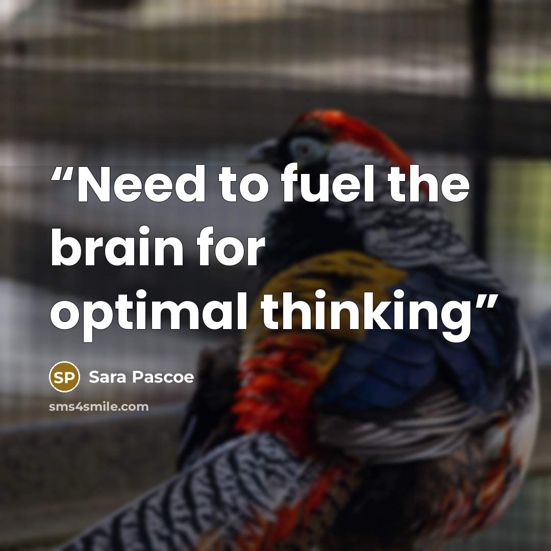 “Need to fuel the brain for optimal thinking” quote by Sara Pascoe