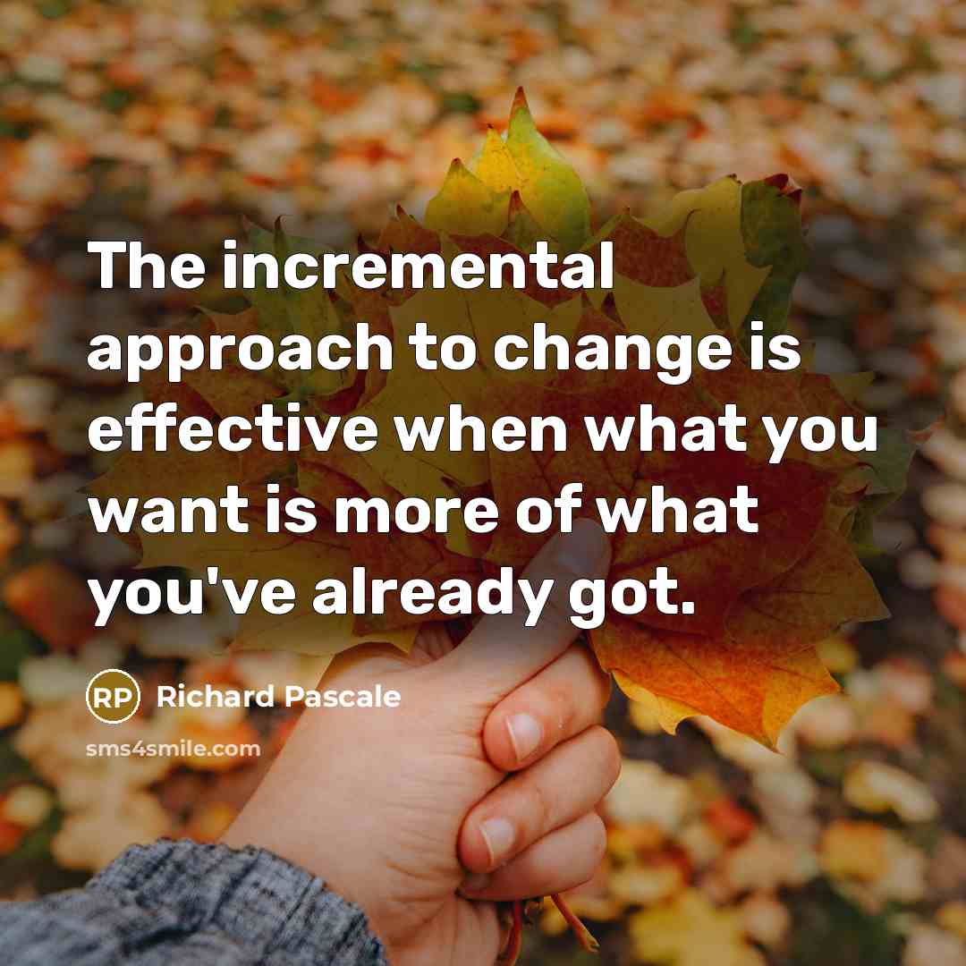 “The incremental approach to change is effective when what you want is more of what you've already got.” quote by Richard Pascale