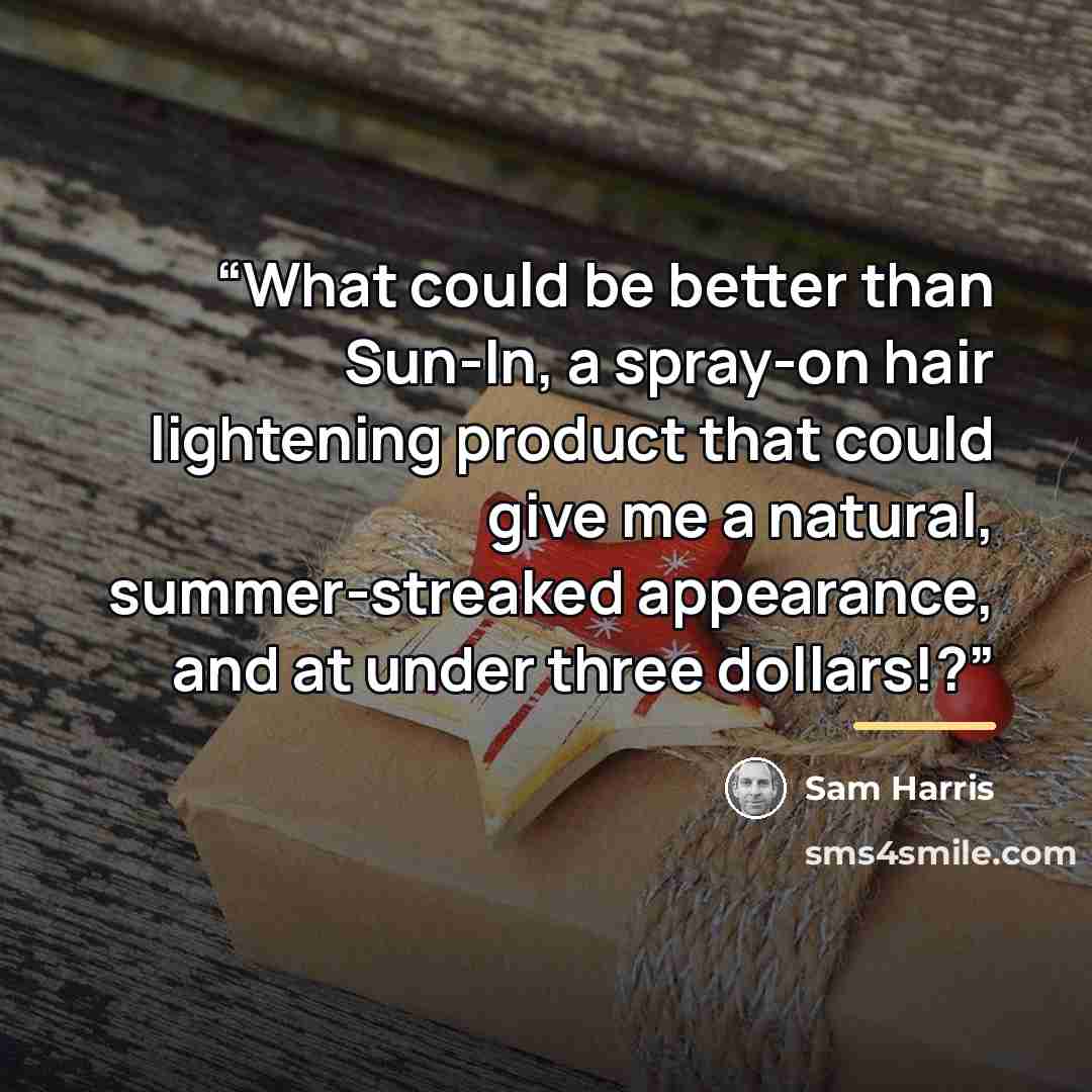 “What could be better than Sun-In, a spray-on hair lightening product that could give me a natural, summer-streaked appearance, and at under three dollars!?” quote by Sam Harris