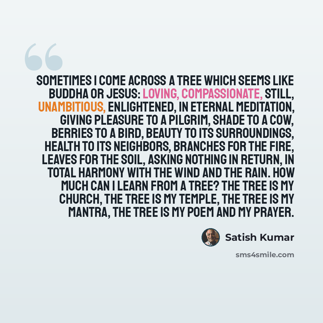 “Sometimes I come across a tree which seems like Buddha or Jesus: loving, compassionate, still, unambitious, enlightened, in eternal meditation, giving pleasure to a pilgrim, shade to a cow, berries to a bird, beauty to its surroundings, health to its neighbors, branches for the fire, leaves for…” quote by Satish Kumar