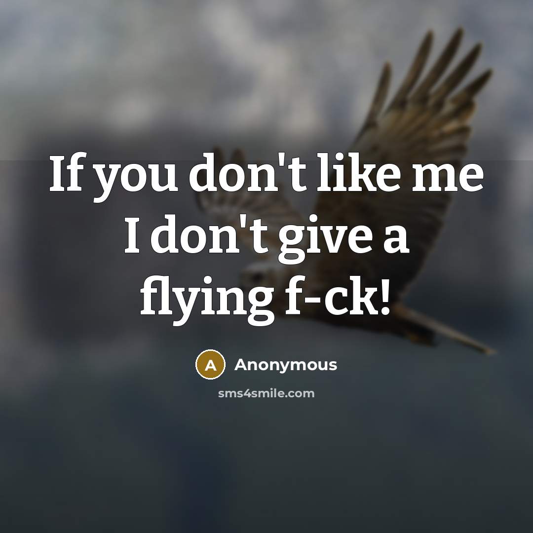 “If you don't like me I don't give a flying f-ck!” quote by Anonymous