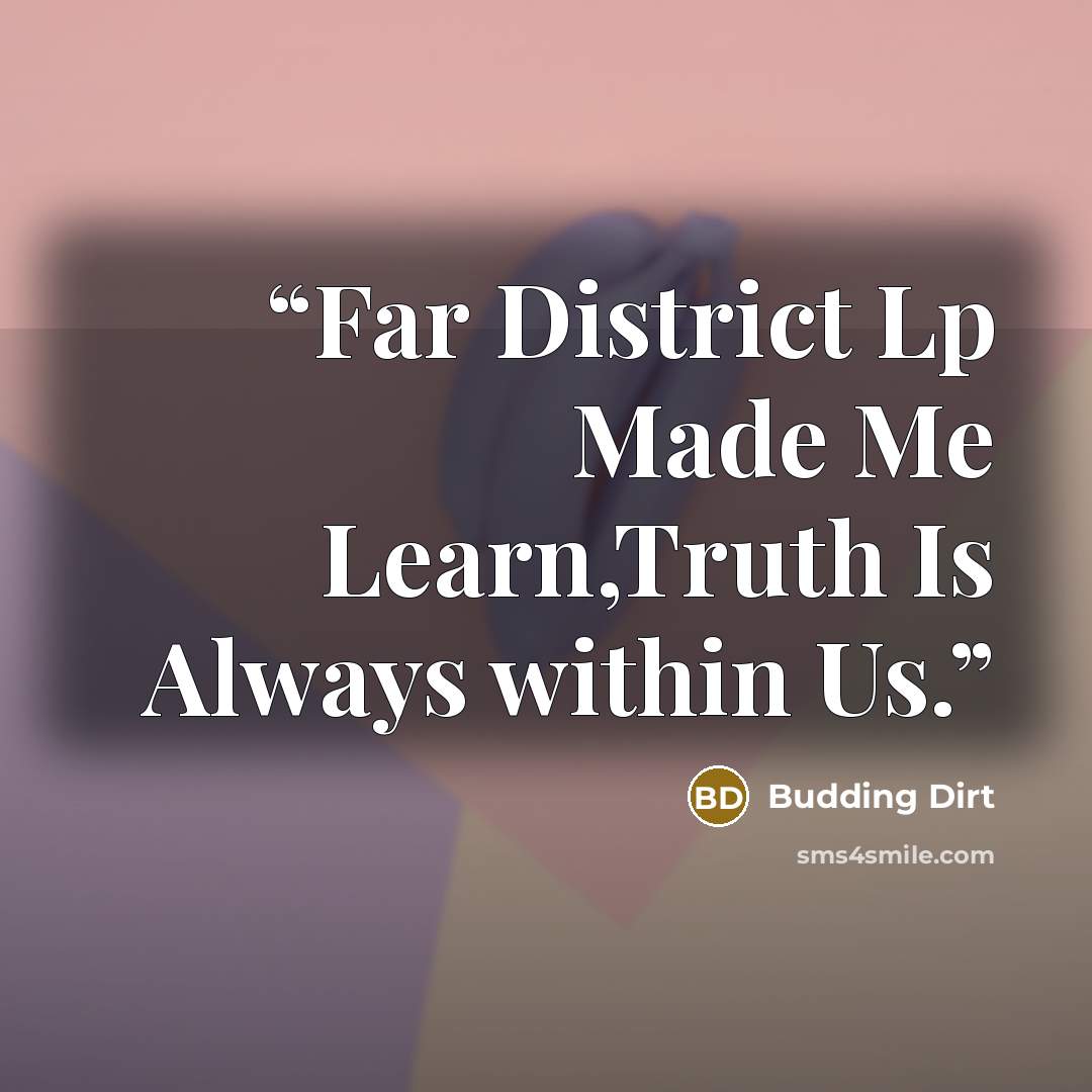“Far District Lp Made Me Learn,Truth Is Always within Us.” quote by Budding Dirt
