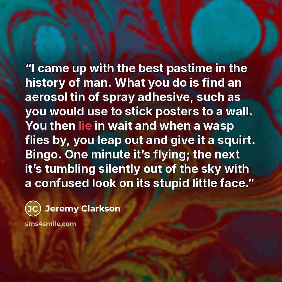 “I came up with the best pastime in the history of man. What you do is find an aerosol tin of spray adhesive, such as you would use to stick posters to a wall. You then lie in wait and when a wasp flies by, you leap out and give it a squirt. Bingo. One minute it’s flying; the next it’s tumbling…” quote by Jeremy Clarkson