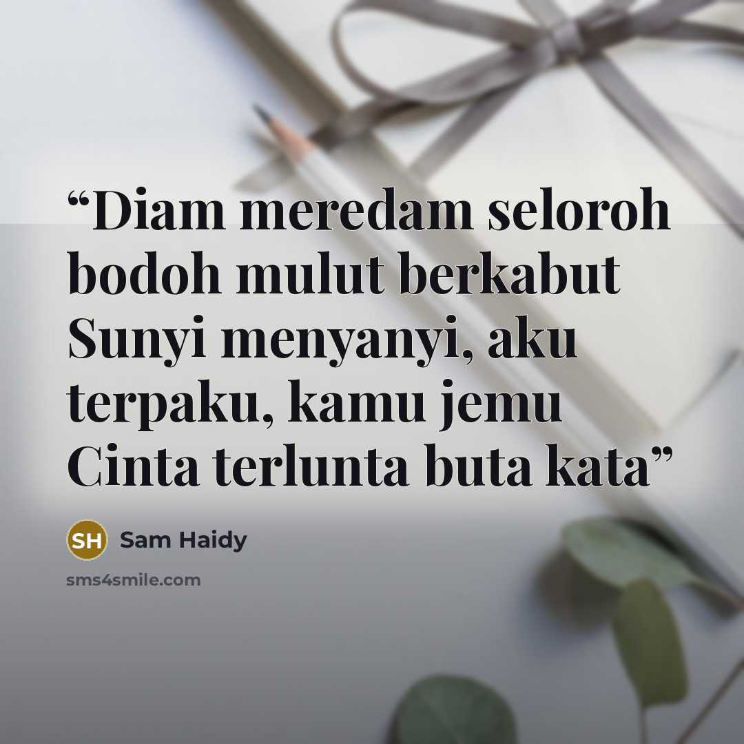 “Diam meredam seloroh bodoh mulut berkabut Sunyi menyanyi, aku terpaku, kamu jemu Cinta terlunta buta kata” quote by Sam Haidy