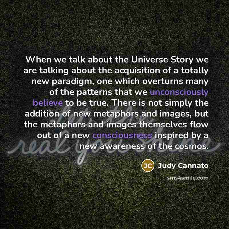 “When we talk about the Universe Story we are talking about the acquisition of a totally new paradigm, one which overturns many of the patterns that we unconsciously believe to be true. There is not simply the addition of new metaphors and images, but the metaphors and images themselves flow out of…” quote by Judy Cannato