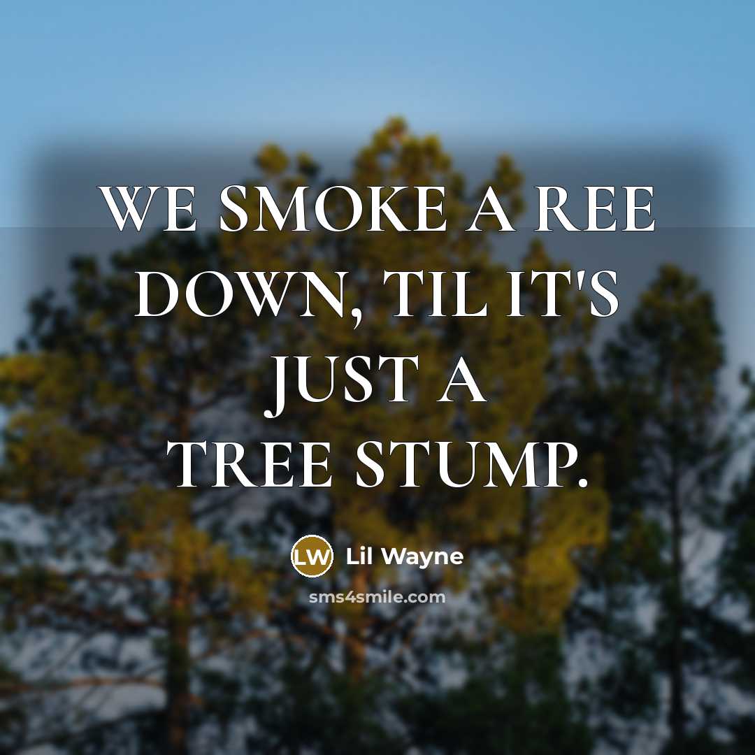 “WE SMOKE A REE DOWN, TIL IT'S JUST A TREE STUMP.” quote by LIL WAYNE
