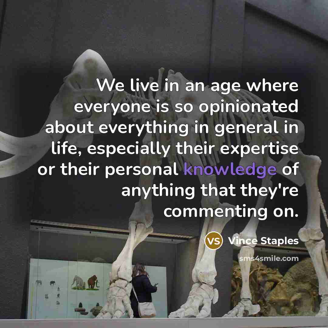“We live in an age where everyone is so opinionated about everything in general in life, especially their expertise or their personal knowledge of anything that they're commenting on.” quote by Vince Staples