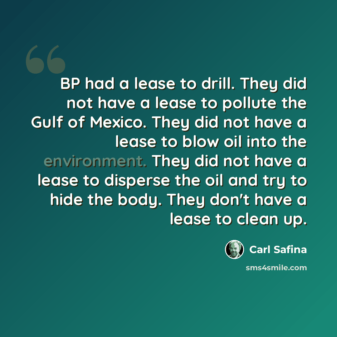 “BP had a lease to drill. They did not have a lease to pollute the Gulf of Mexico. They did not have a lease to blow oil into the environment. They did not have a lease to disperse the oil and try to hide the body. They don't have a lease to clean up.” quote by Carl Safina