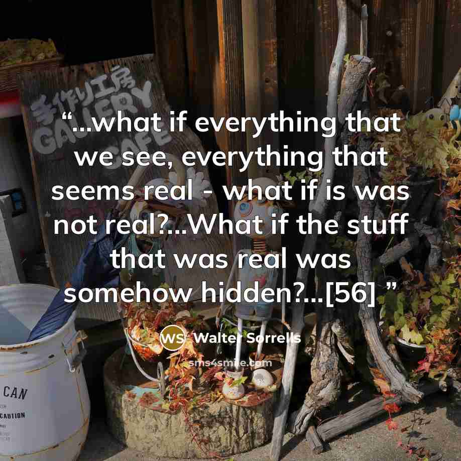 “...what if everything that we see, everything that seems real - what if is was not real?...What if the stuff that was real was somehow hidden?...[56]” quote by Walter Sorrells