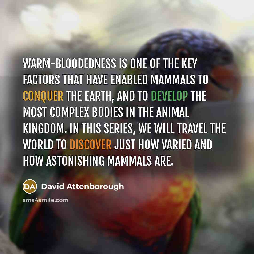 “Warm-bloodedness is one of the key factors that have enabled mammals to conquer the Earth, and to develop the most complex bodies in the animal kingdom. In this series, we will travel the world to discover just how varied and how astonishing mammals are.” quote by David Attenborough
