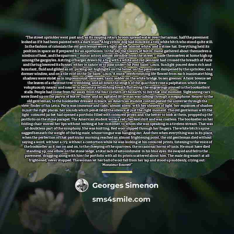 “The street sprinkler went past and, as its rasping rotary broom spread water over the tarmac, half the pavement looked as if it had been painted with a dark stain. A big yellow dog had mounted a tiny white bitch who stood quite still. In the fashion of colonials the old gentleman wore a light…” quote by Georges Simenon