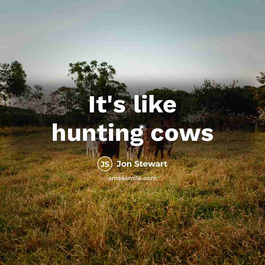 “It's like hunting cows” quote by Jon Stewart
