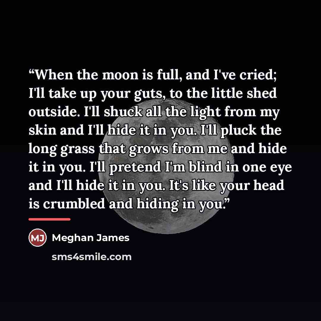 “When the moon is full, and I've cried; I'll take up your guts, to the little shed outside. I'll shuck all the light from my skin and I'll hide it in you. I'll pluck the long grass that grows from me and hide it in you. I'll pretend I'm blind in one eye and I'll hide it in you. It's like your head…” quote by Meghan James