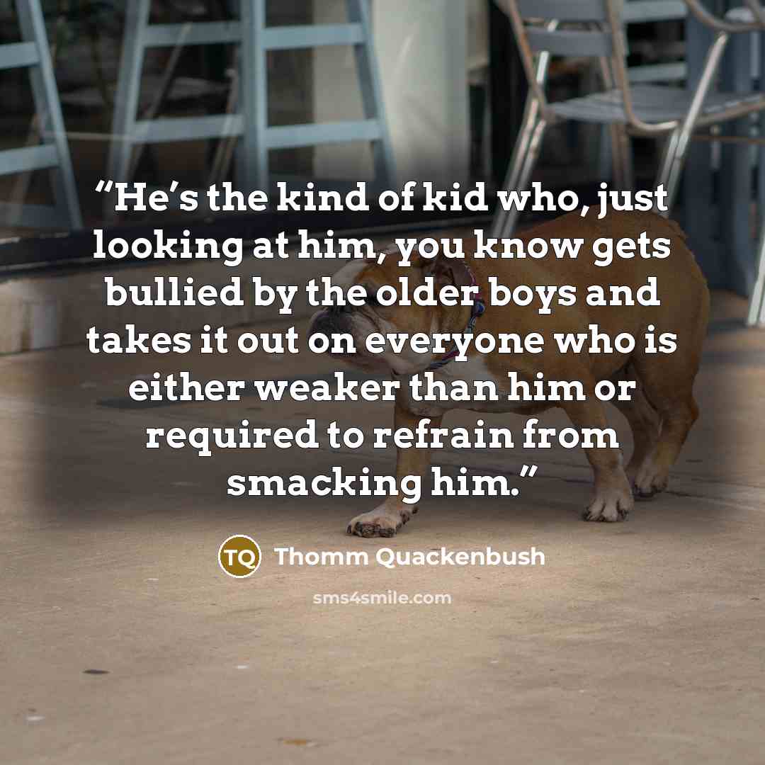 “He’s the kind of kid who, just looking at him, you know gets bullied by the older boys and takes it out on everyone who is either weaker than him or required to refrain from smacking him.” quote by Thomm Quackenbush
