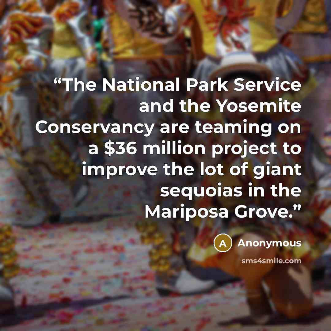 “The National Park Service and the Yosemite Conservancy are teaming on a $36 million project to improve the lot of giant sequoias in the Mariposa Grove.” quote by Anonymous