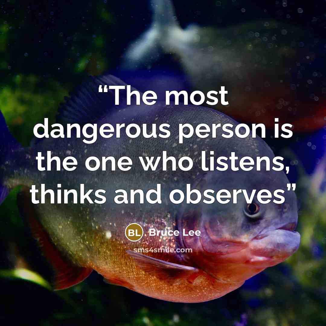 “The most dangerous person is the one who listens, thinks and observes” quote by Bruce Lee