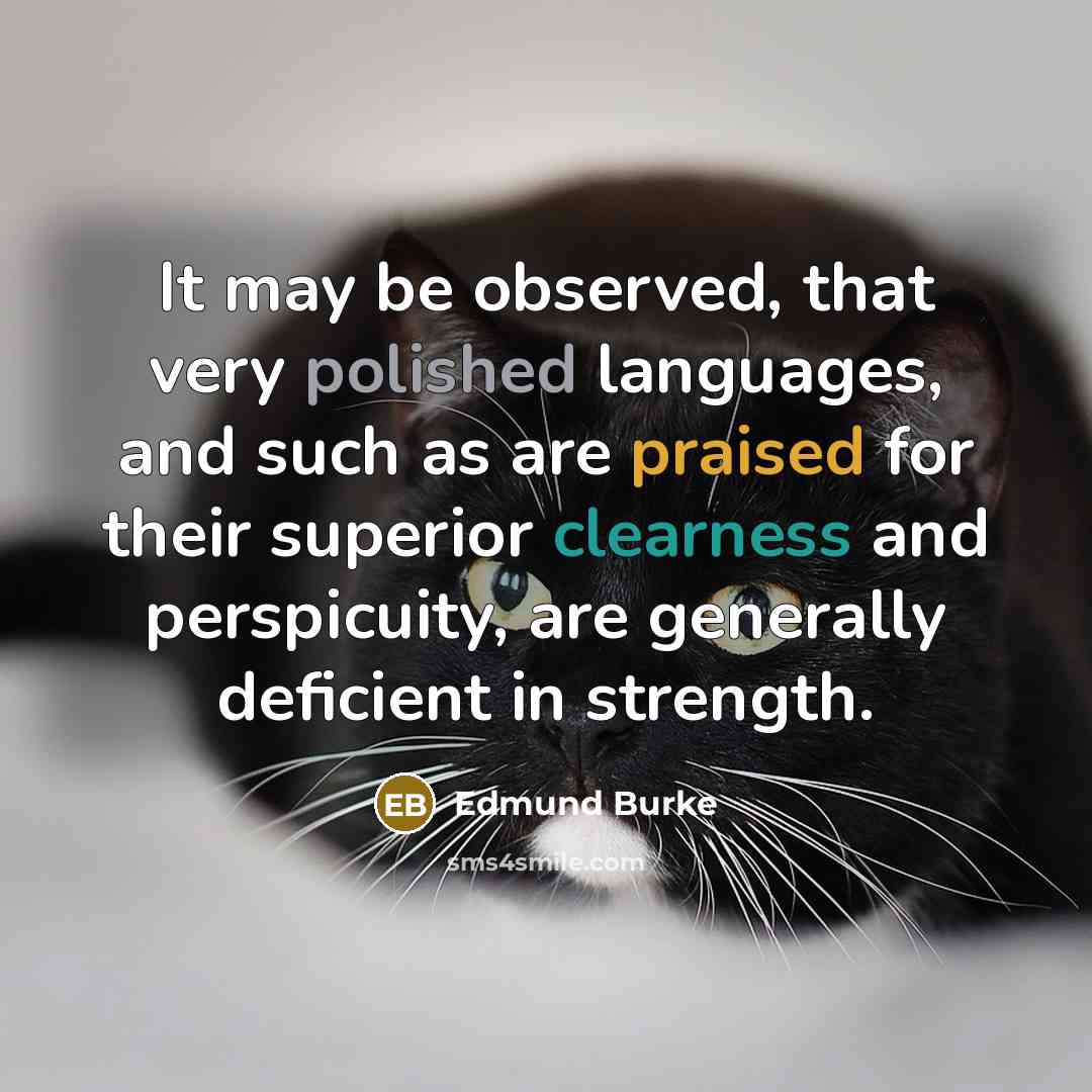“It may be observed, that very polished languages, and such as are praised for their superior clearness and perspicuity, are generally deficient in strength.” quote by Edmund Burke