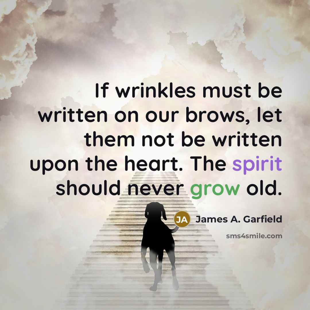 “If wrinkles must be written on our brows, let them not be written upon the heart. The spirit should never grow old.” quote by James A. Garfield