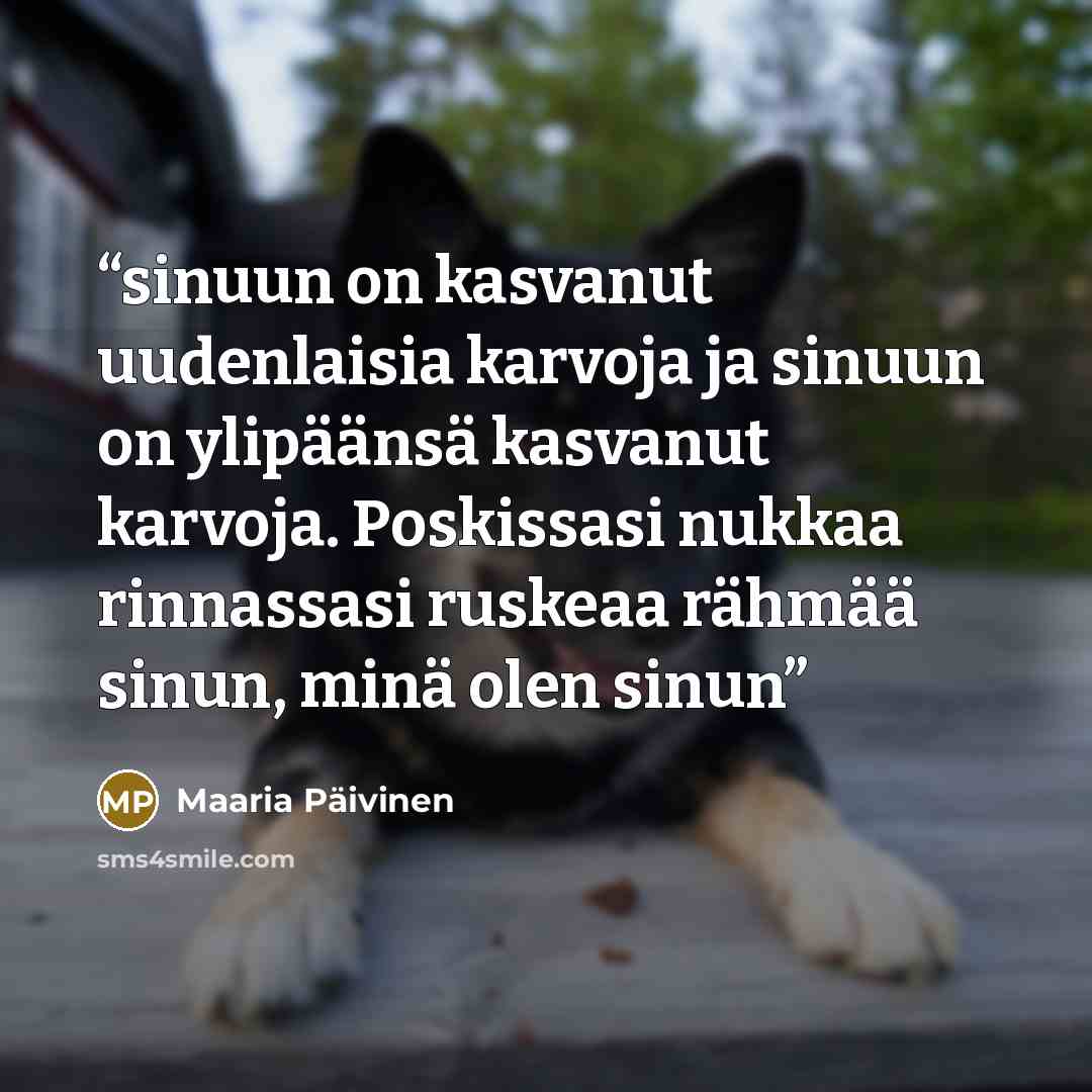 “sinuun on kasvanut uudenlaisia karvoja ja sinuun on ylipäänsä kasvanut karvoja. Poskissasi nukkaa rinnassasi ruskeaa rähmää sinun, minä olen sinun” quote by Maaria Päivinen