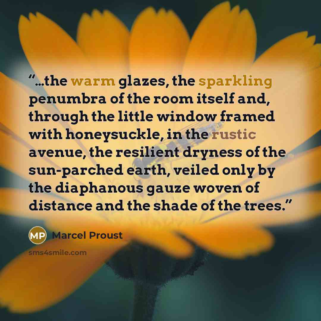 “…the warm glazes, the sparkling penumbra of the room itself and, through the little window framed with honeysuckle, in the rustic avenue, the resilient dryness of the sun-parched earth, veiled only by the diaphanous gauze woven of distance and the shade of the trees.” quote by Marcel Proust