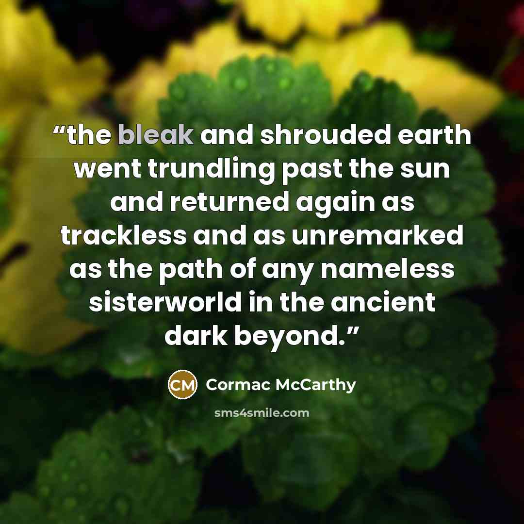 “the bleak and shrouded earth went trundling past the sun and returned again as trackless and as unremarked as the path of any nameless sisterworld in the ancient dark beyond.” quote by Cormac McCarthy