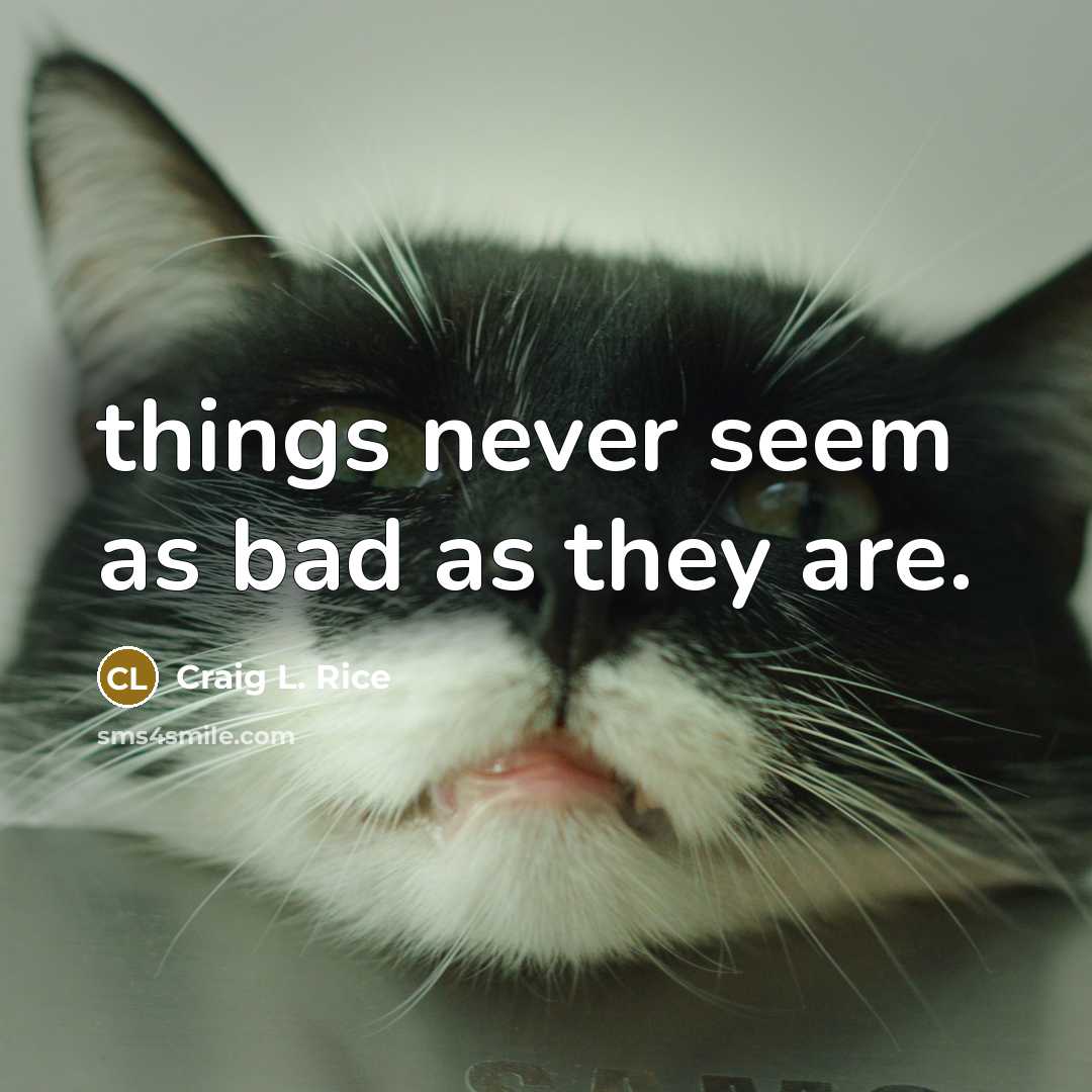 “things never seem as bad as they are.” quote by Craig L. Rice