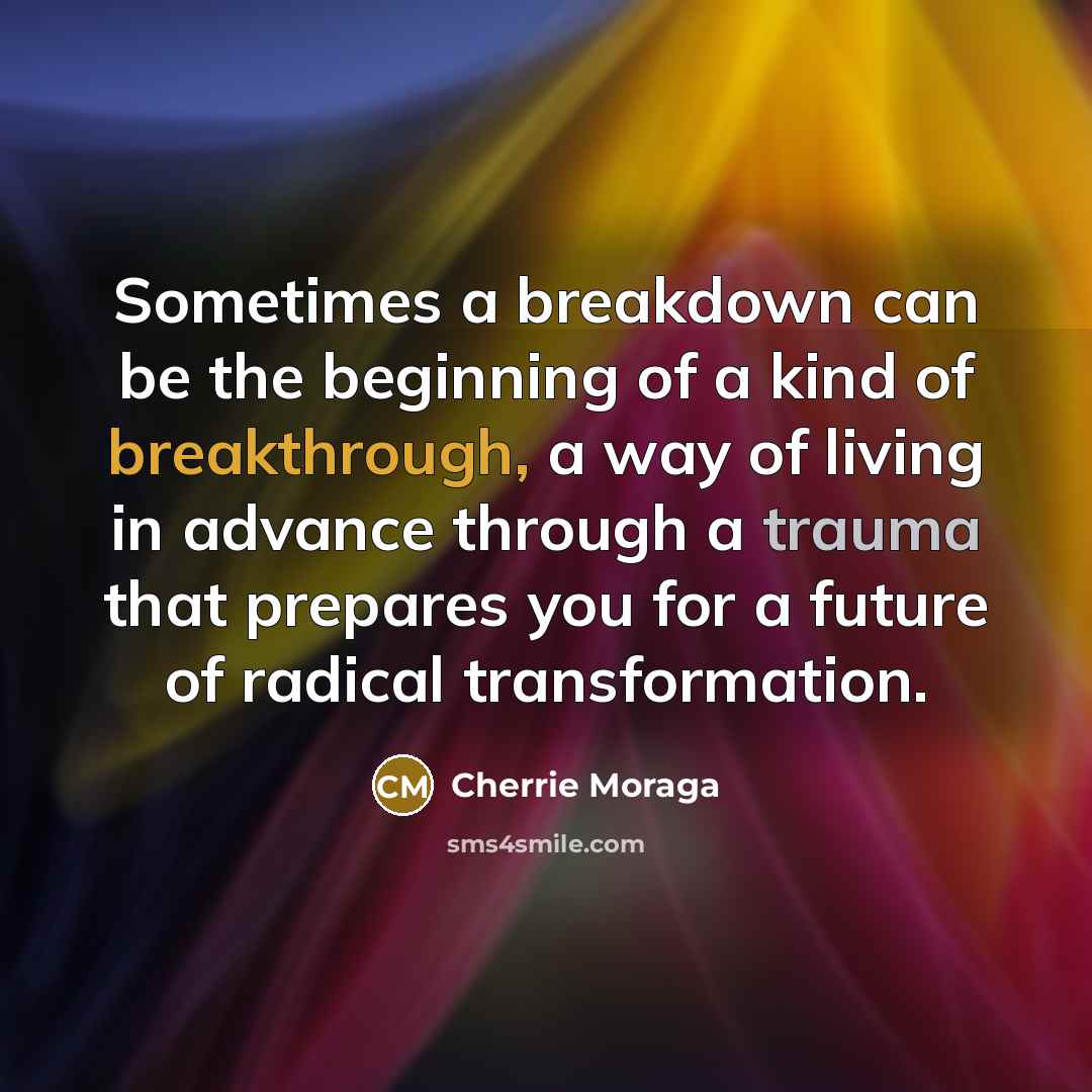 “Sometimes a breakdown can be the beginning of a kind of breakthrough, a way of living in advance through a trauma that prepares you for a future of radical transformation.” quote by Cherrie Moraga
