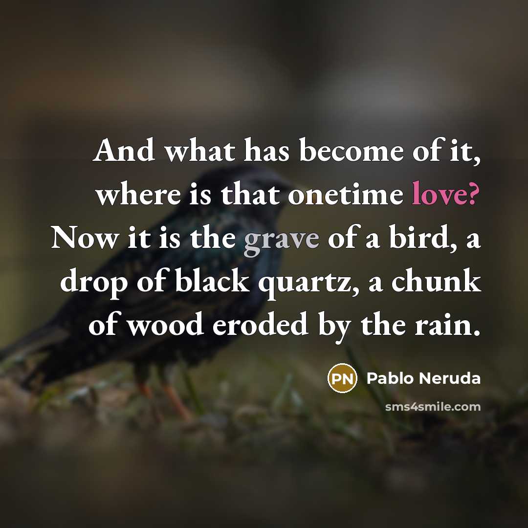 “And what has become of it, where is that onetime love? Now it is the grave of a bird, a drop of black quartz, a chunk of wood eroded by the rain.” quote by Pablo Neruda