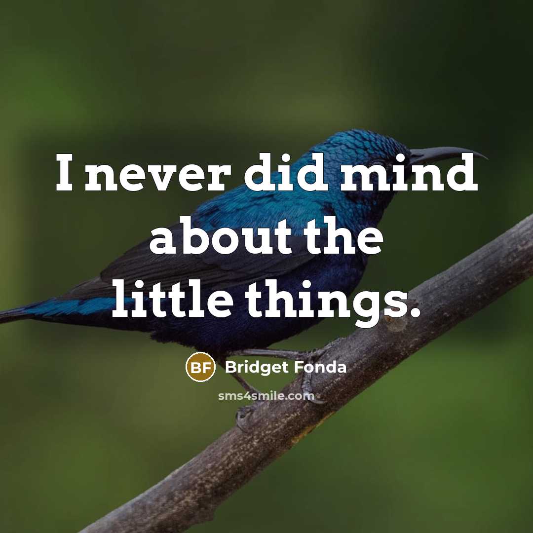 “I never did mind about the little things.” quote by Bridget Fonda