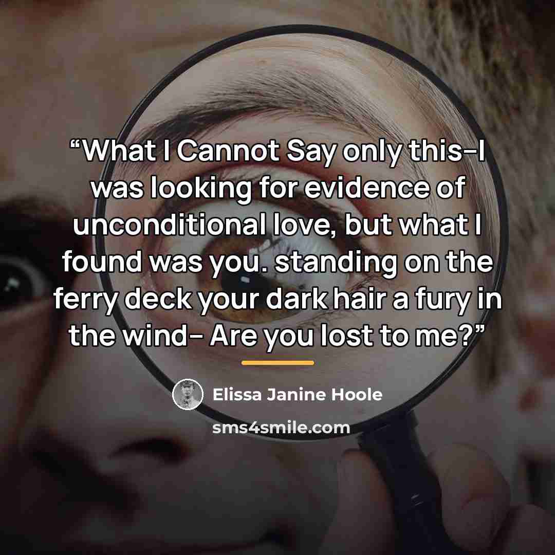 “What I Cannot Say only this--I was looking for evidence of unconditional love, but what I found was you. standing on the ferry deck your dark hair a fury in the wind-- Are you lost to me?” quote by Elissa Janine Hoole