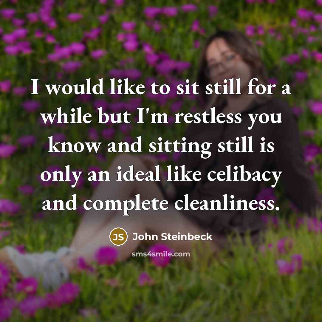 “I would like to sit still for a while but I'm restless you know and sitting still is only an ideal like celibacy and complete cleanliness.” quote by John Steinbeck
