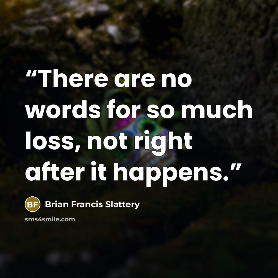“There are no words for so much loss, not right after it happens.” quote by Brian Francis Slattery