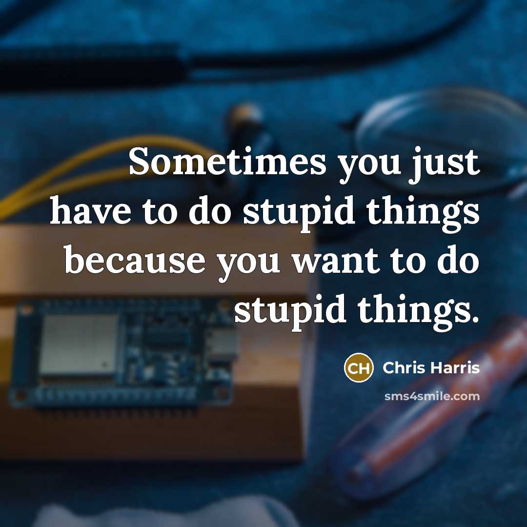 “Sometimes you just have to do stupid things because you want to do stupid things.” quote by Chris Harris