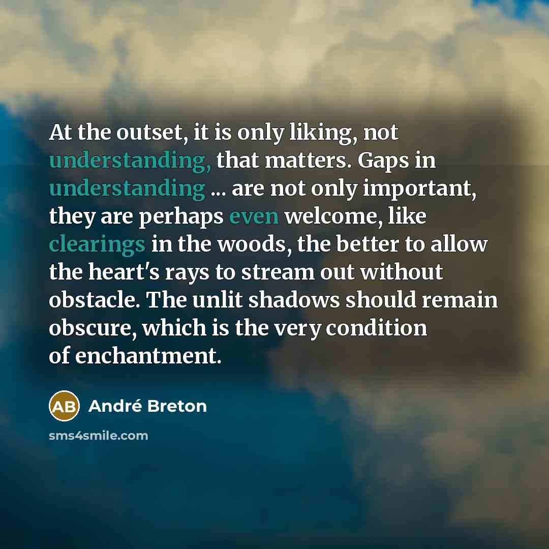 “At the outset, it is only liking, not understanding, that matters. Gaps in understanding ... are not only important, they are perhaps even welcome, like clearings in the woods, the better to allow the heart's rays to stream out without obstacle. The unlit shadows should remain obscure, which is…” quote by Andre Breton