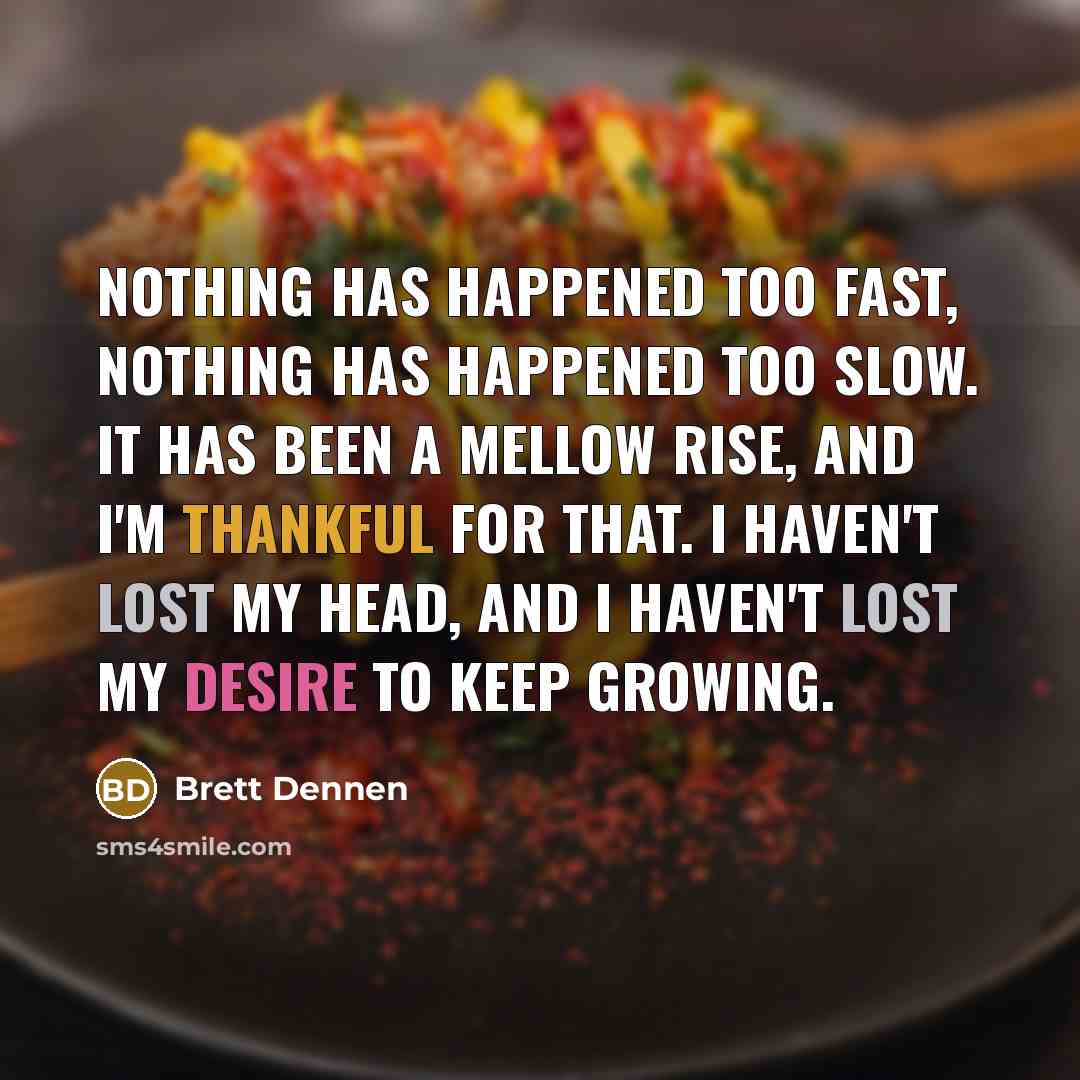 “Nothing has happened too fast, nothing has happened too slow. It has been a mellow rise, and I'm thankful for that. I haven't lost my head, and I haven't lost my desire to keep growing.” quote by Brett Dennen