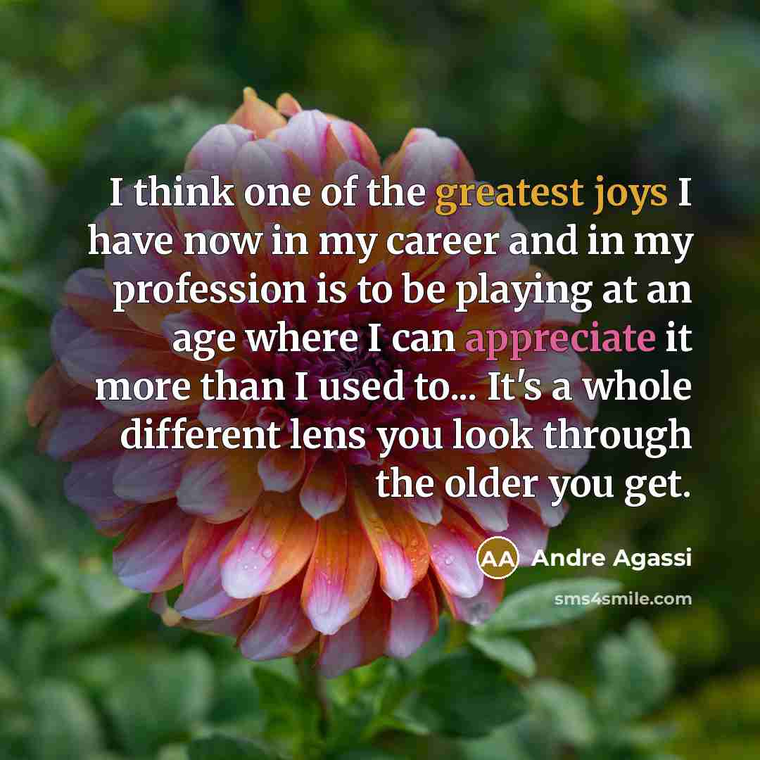 “I think one of the greatest joys I have now in my career and in my profession is to be playing at an age where I can appreciate it more than I used to... It's a whole different lens you look through the older you get.” quote by Andre Agassi