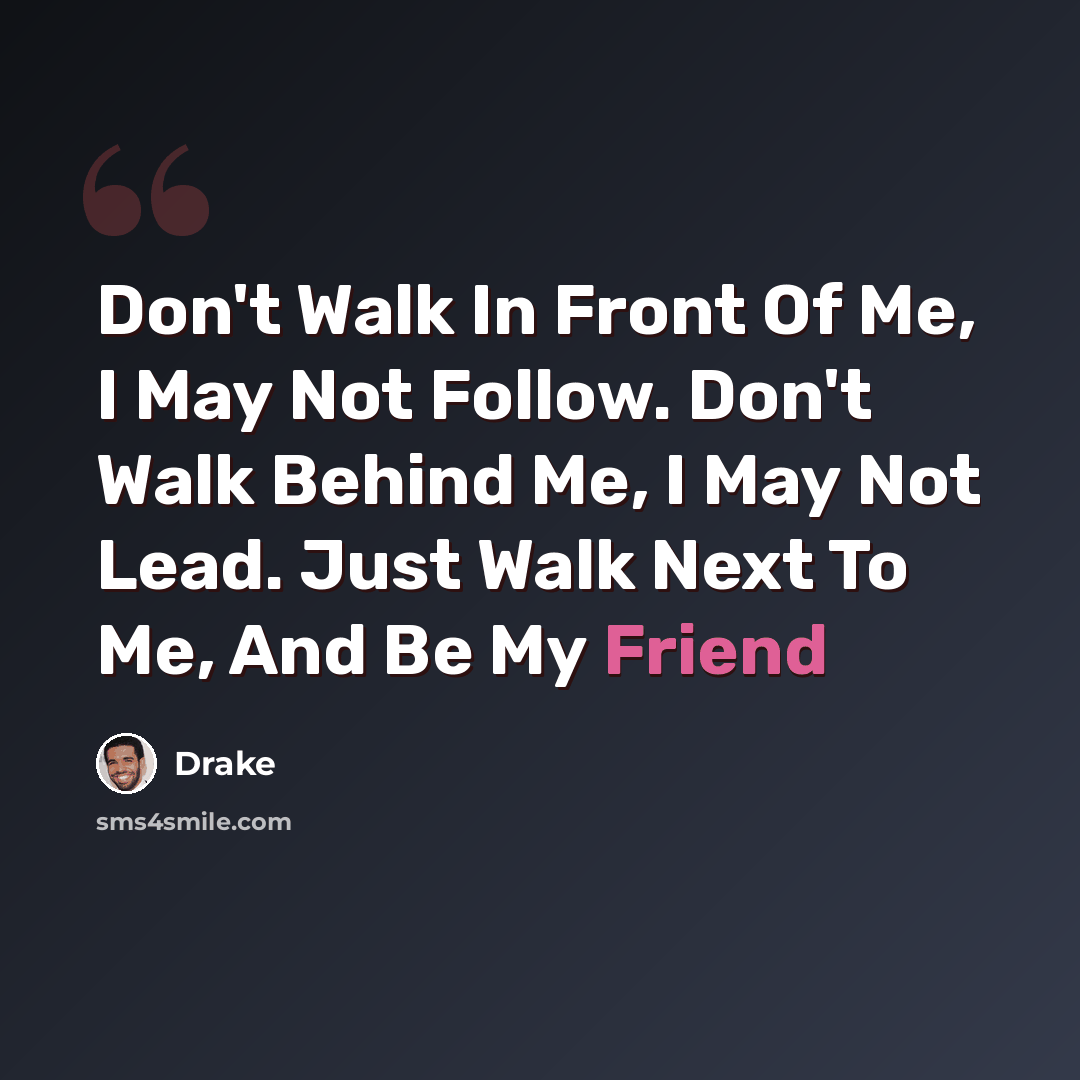 “Don't Walk In Front Of Me, I May Not Follow. Don't Walk Behind Me, I May Not Lead. Just Walk Next To Me, And Be My Friend” quote by Drake
