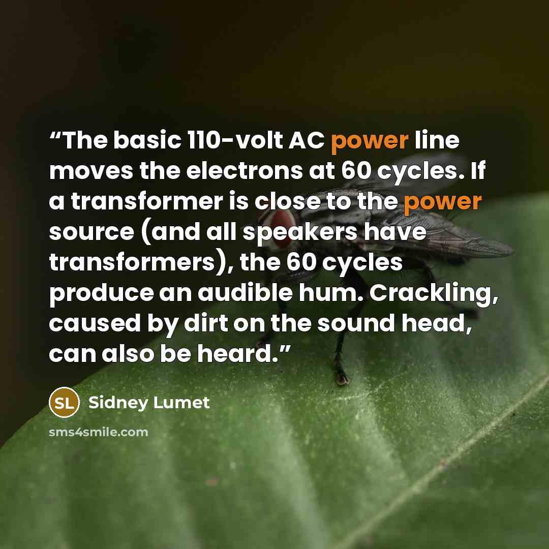 “The basic 110-volt AC power line moves the electrons at 60 cycles. If a transformer is close to the power source (and all speakers have transformers), the 60 cycles produce an audible hum. Crackling, caused by dirt on the sound head, can also be heard.” quote by Sidney Lumet
