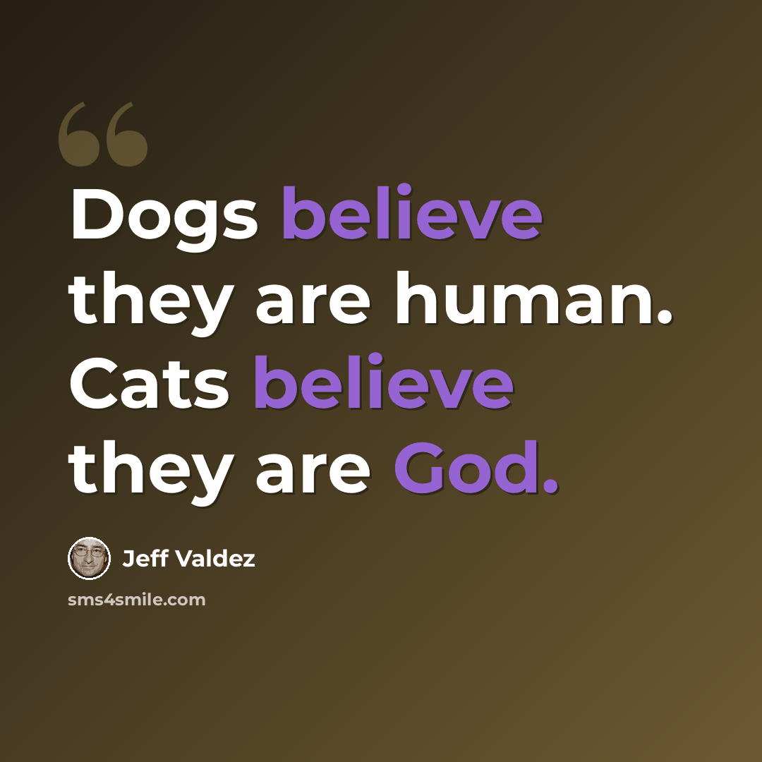 “Dogs believe they are human. Cats believe they are God.” quote by Jeff Valdez