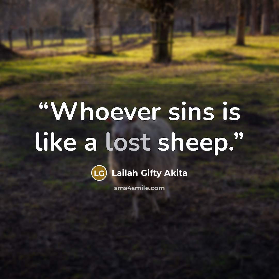 “Whoever sins is like a lost sheep.” quote by Lailah Gifty Akita