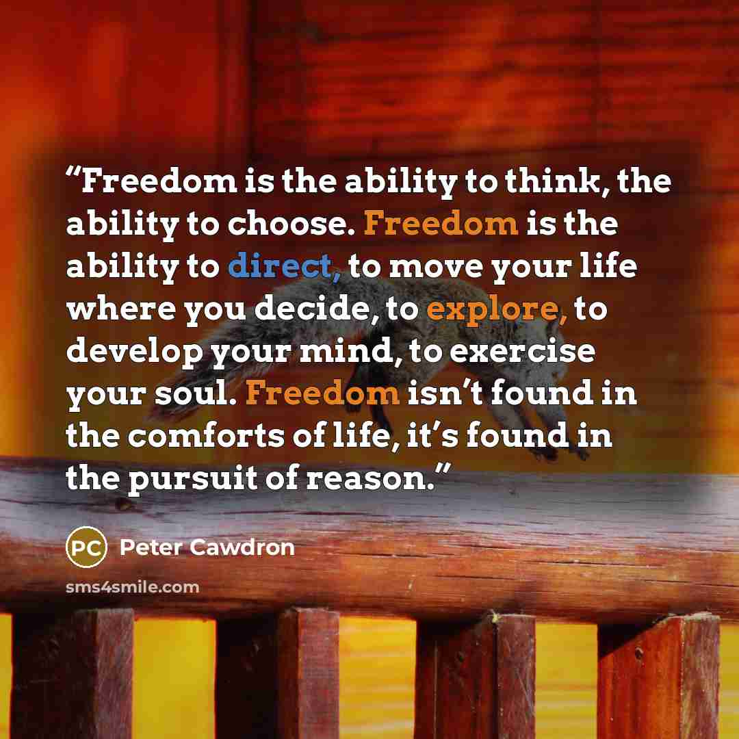 “Freedom is the ability to think, the ability to choose. Freedom is the ability to direct, to move your life where you decide, to explore, to develop your mind, to exercise your soul. Freedom isn’t found in the comforts of life, it’s found in the pursuit of reason.” quote by Peter Cawdron