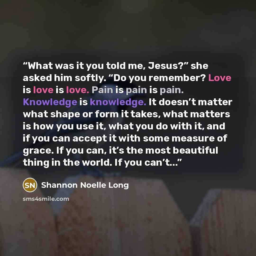 “What was it you told me, Jesus?” she asked him softly. “Do you remember? Love is love is love. Pain is pain is pain. Knowledge is knowledge. It doesn’t matter what shape or form it takes, what matters is how you use it, what you do with it, and if you can accept it with some measure of grace. If…” quote by Shannon Noelle Long