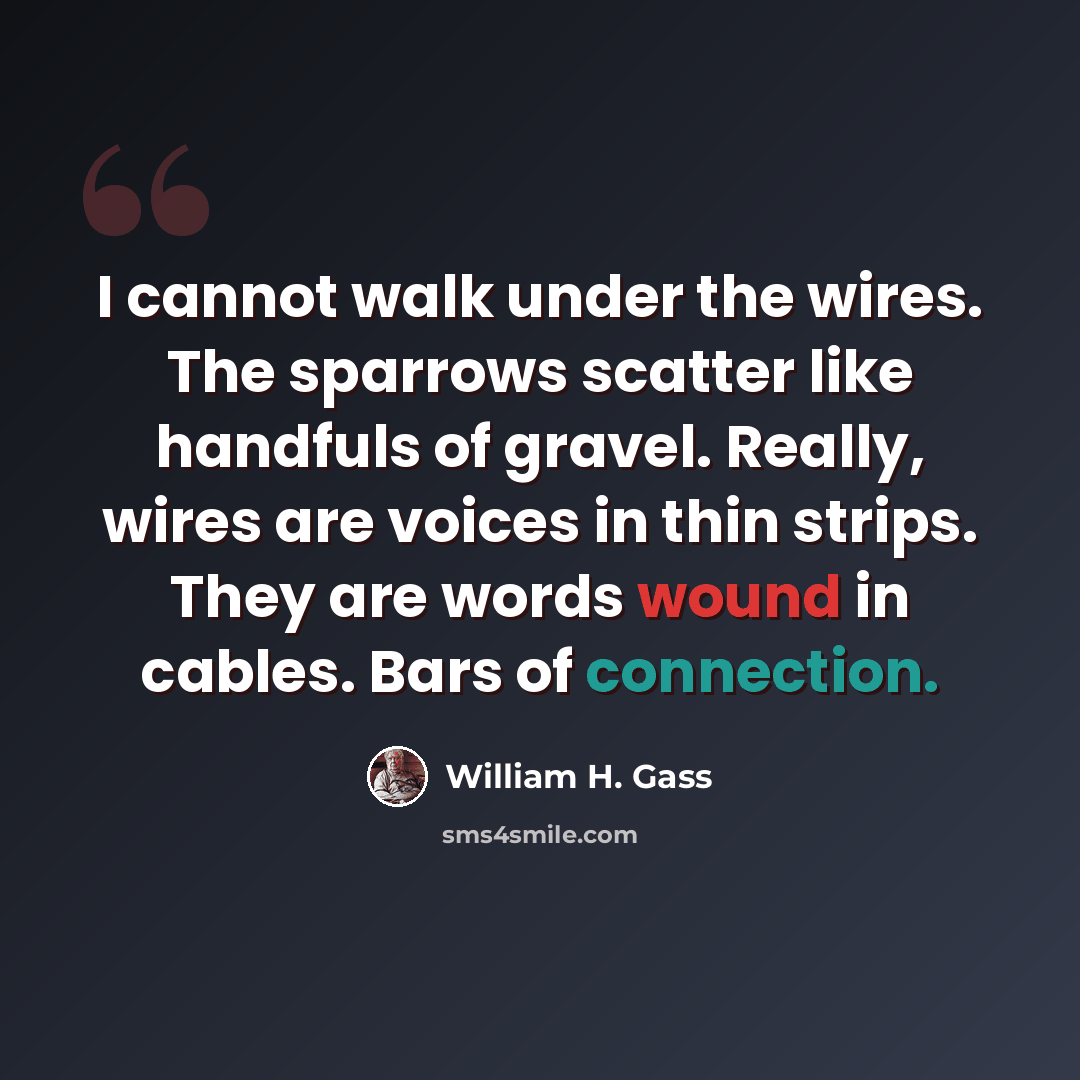 “I cannot walk under the wires. The sparrows scatter like handfuls of gravel. Really, wires are voices in thin strips. They are words wound in cables. Bars of connection.” quote by William H. Gass
