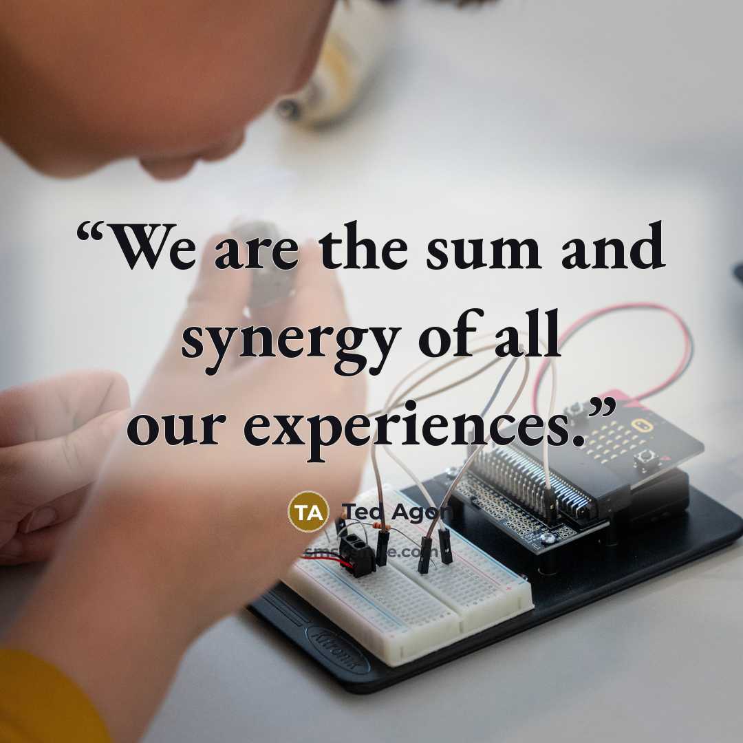 “We are the sum and synergy of all our experiences.” quote by Ted Agon