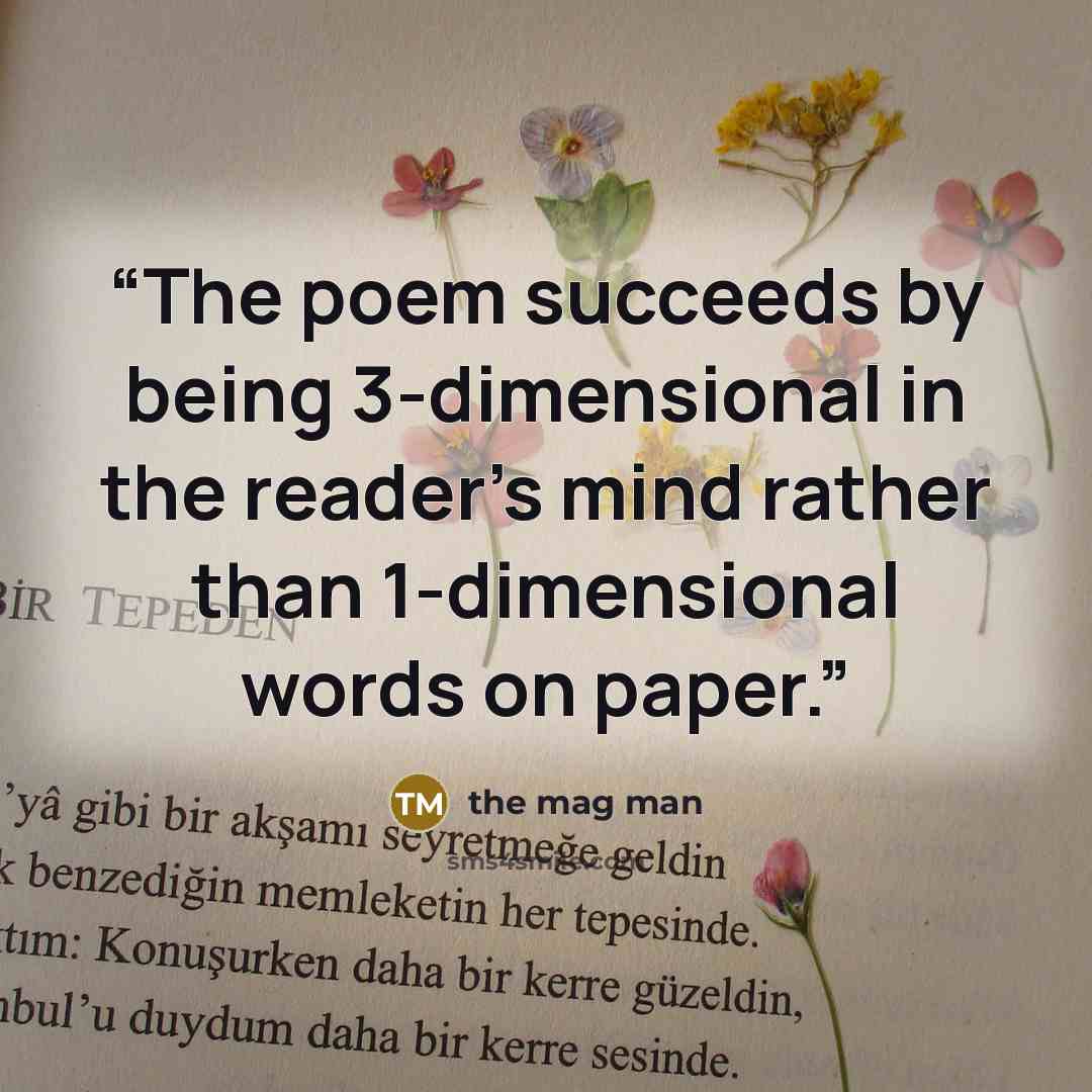 “The poem succeeds by being 3-dimensional in the reader's mind rather than 1-dimensional words on paper.” quote by the mag man