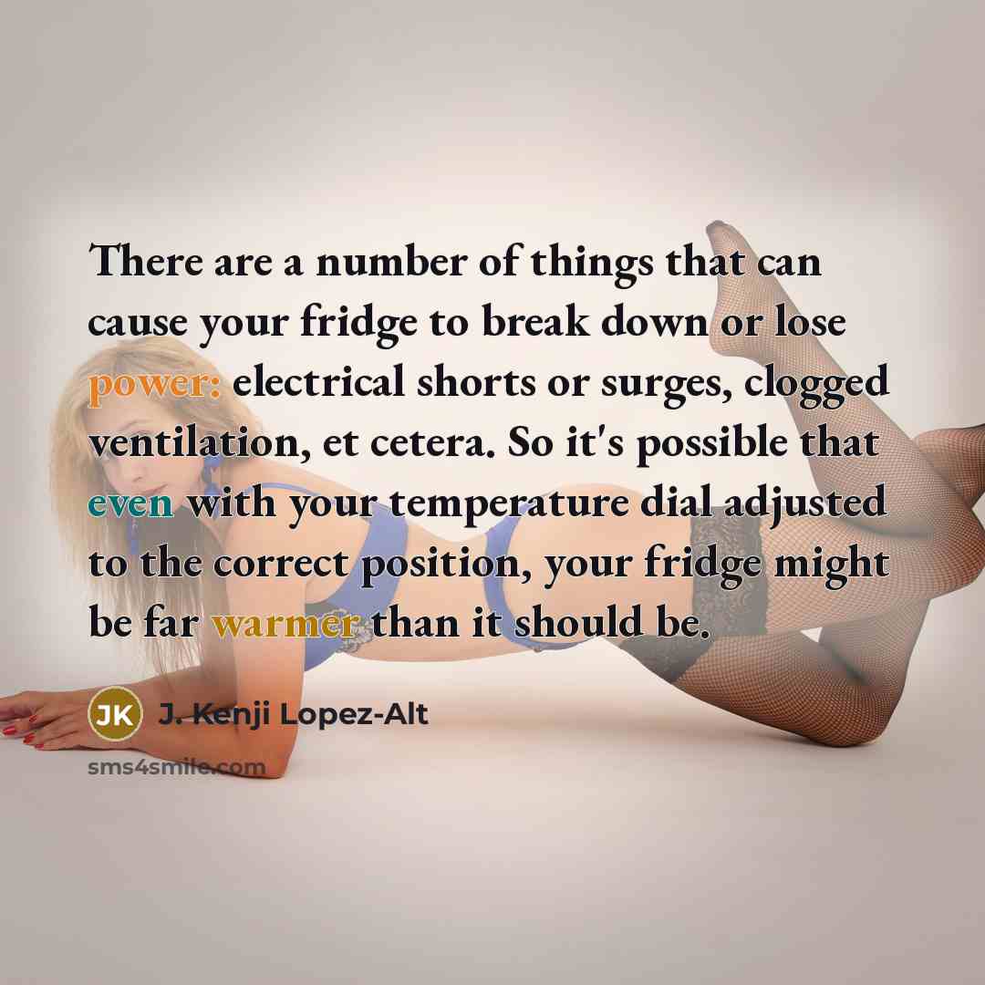 “There are a number of things that can cause your fridge to break down or lose power: electrical shorts or surges, clogged ventilation, et cetera. So it's possible that even with your temperature dial adjusted to the correct position, your fridge might be far warmer than it should be.” quote by J. Kenji Lopez-Alt