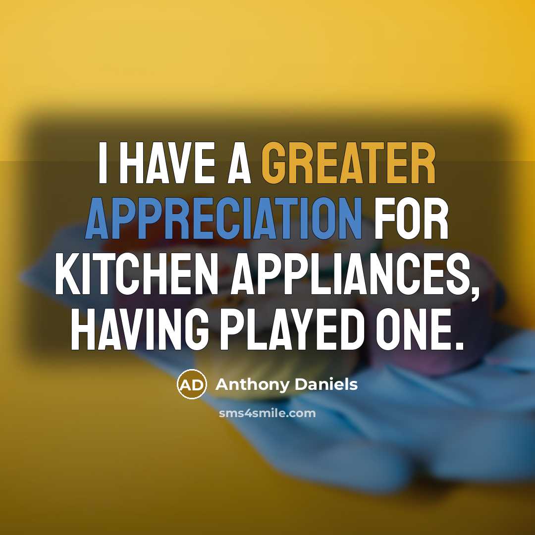 “I have a greater appreciation for kitchen appliances, having played one.” quote by Anthony Daniels